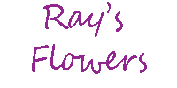 Ray's Flowers - Logo